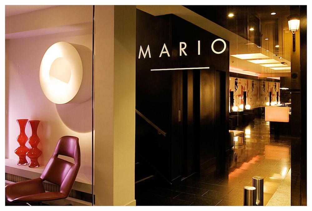 Room Mate Mario - Interior Entrance