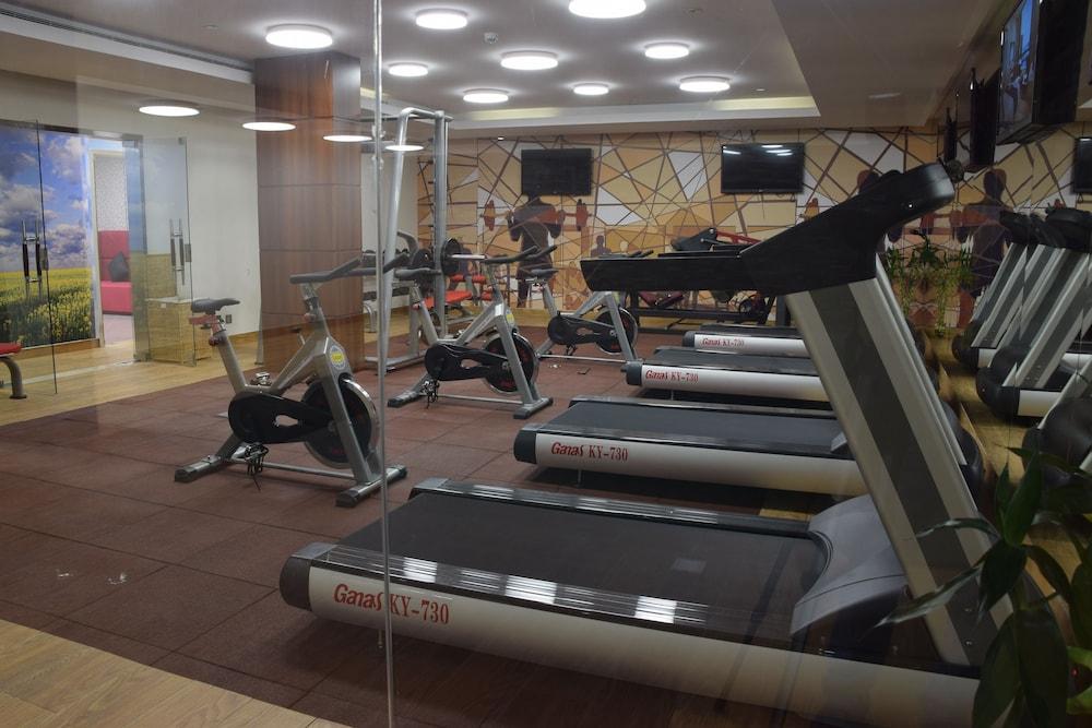 أجنحة نوفوتيل وسط مدينة الرياض - Fitness Facility